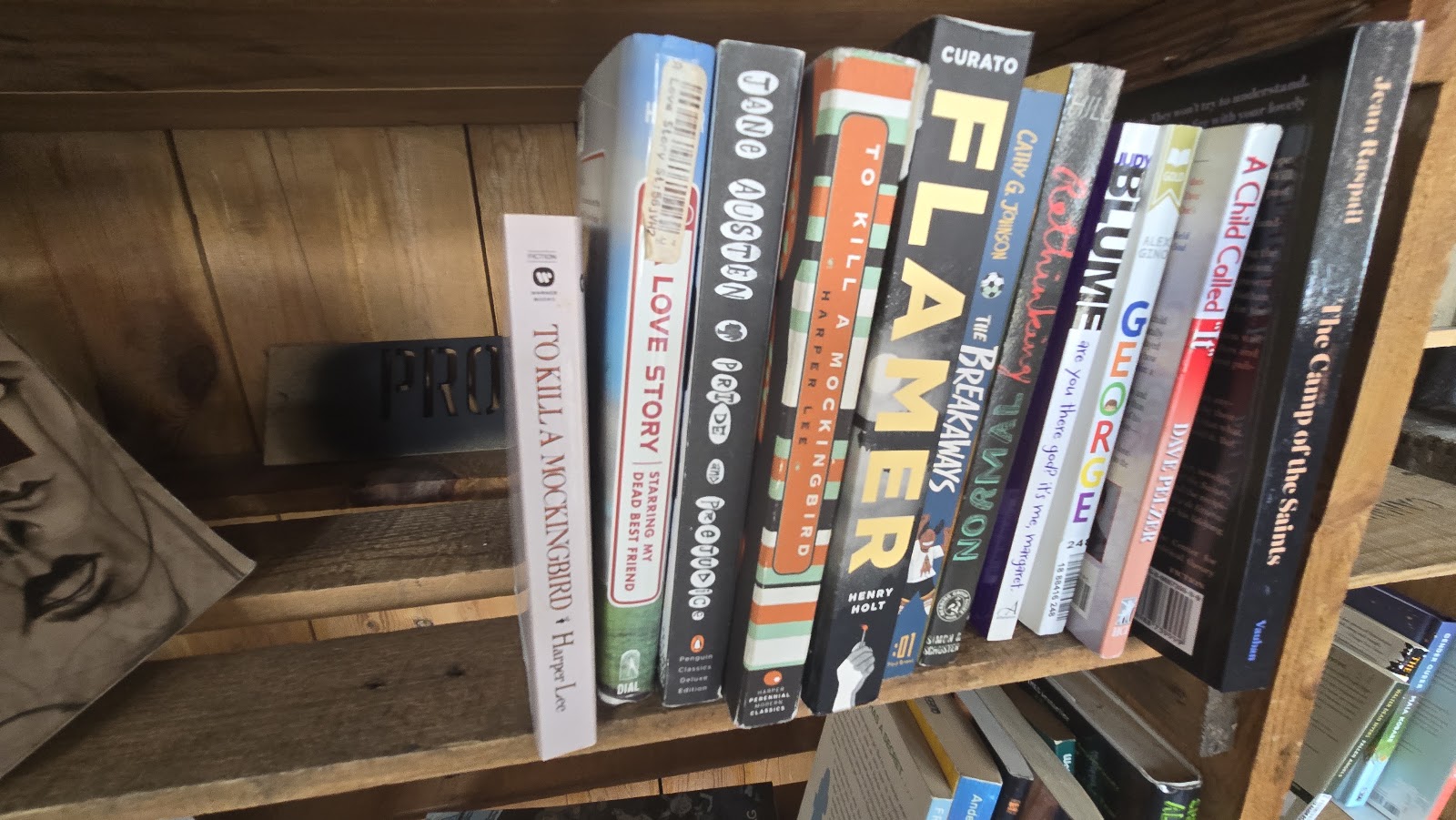 Spines including To Kill a Mockingbird, Flamer, George, and A Child Called It on the banned shelf